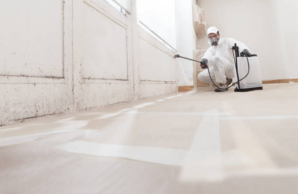 24/7 Emergency Attic Mold Removal experts in Lancaster, PA